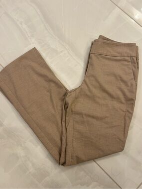 Ann Taylor Factory Men's Dress Pants in Taupe